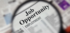 Current Openings
